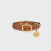 Small thin dog collar in triomphe canvas with leopard print and calfskin