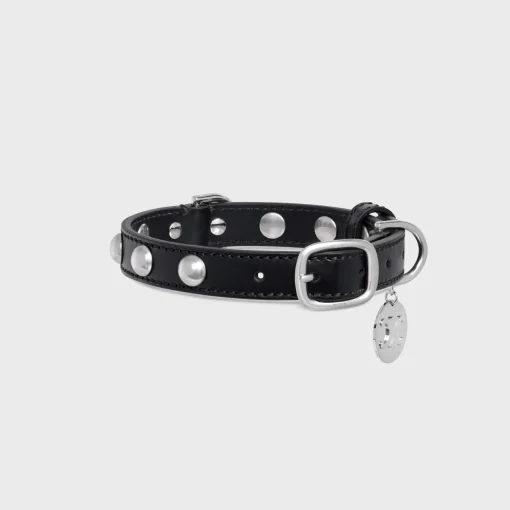 Small Thin Dog Collar in Smooth Calfskin with Studs