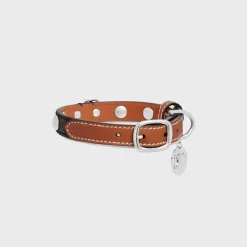 Small Thin Dog Collar in Triomphe Canvas & Calfskin with studs