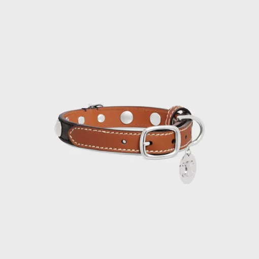 Small Thin Dog Collar in Triomphe Canvas & Calfskin with studs