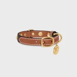 Small Thin Dog Collar in Triomphe Canvas & Calfskin with studs