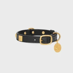 Small Thin Dog Collar in smooth Calfskin with pyramid studs