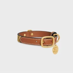 Small thin dog collar in triomphe canvas with leopard print and calfskin