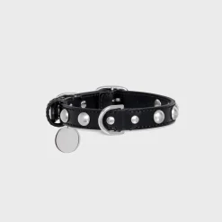 Small Thin Dog Collar in Smooth Calfskin with Studs
