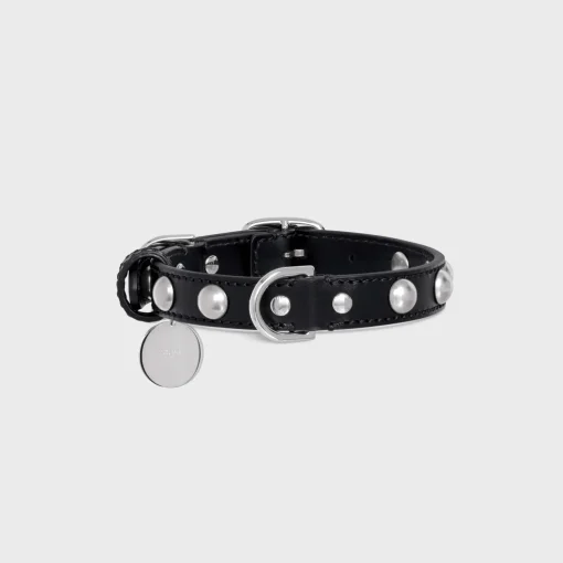 Small Thin Dog Collar in Smooth Calfskin with Studs