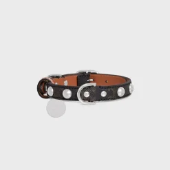Small Thin Dog Collar in Triomphe Canvas & Calfskin with studs