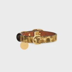 Small thin dog collar in triomphe canvas with leopard print and calfskin