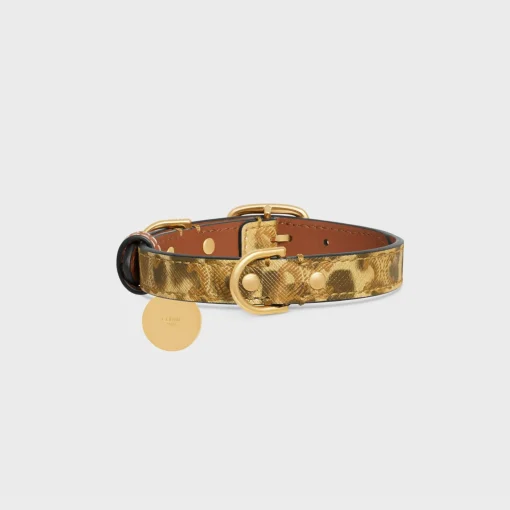 Small thin dog collar in triomphe canvas with leopard print and calfskin