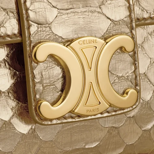 TEEN CELINE VICTOIRE BAG in LAMINATED PYTHON