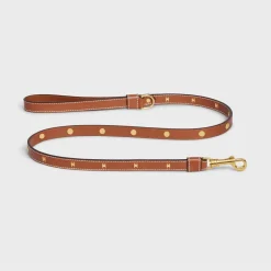 Thin Dog Leash in Smooth Calfskin with Studs Triomphe