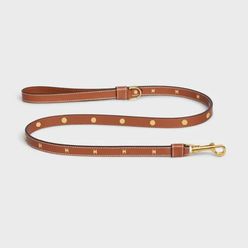Thin Dog Leash in Smooth Calfskin with Studs Triomphe