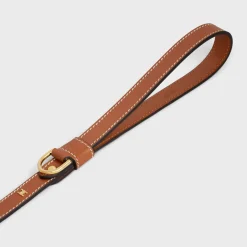 Thin Dog Leash in Smooth Calfskin with Studs Triomphe