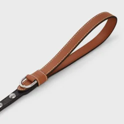 Thin Dog Leash in Triomphe Canvas and Calfskin with studs