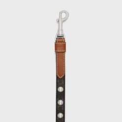Thin Dog Leash in Triomphe Canvas and Calfskin with studs