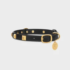Thin Medium Dog Collar in smooth Calfskin with pyramid studs