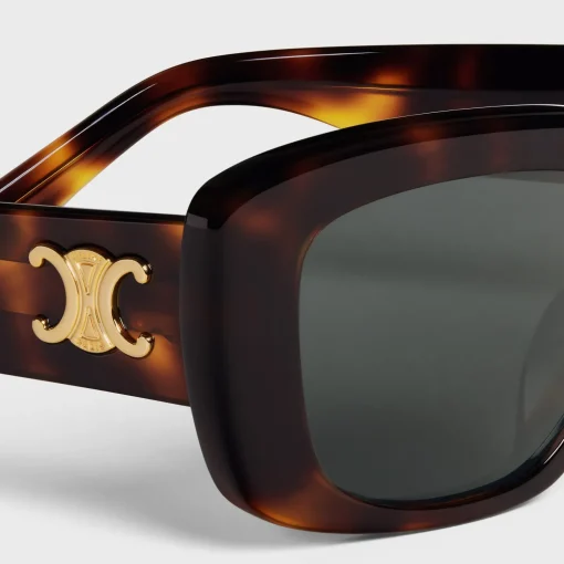 Triomphe 04 sunglasses in Acetate
