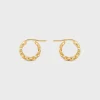 Triomphe Small Gourmette Hoops in Brass with Gold Finish
