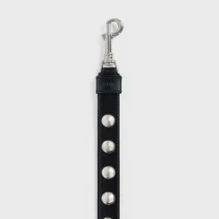 Wide Dog Leash in Smooth Calfskin with Studs