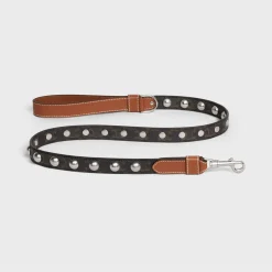 Wide Dog Leash in Triomphe Canvas and Calfskin with Studs