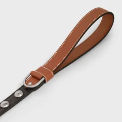 Wide Dog Leash in Triomphe Canvas and Calfskin with Studs