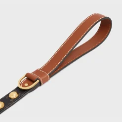 Wide Dog Leash in Triomphe Canvas and Calfskin with Studs