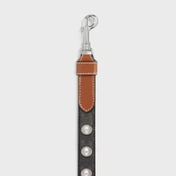 Wide Dog Leash in Triomphe Canvas and Calfskin with Studs